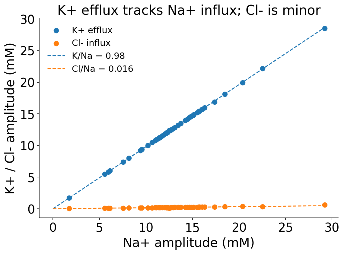 K+/Cl- vs Na+ 振幅